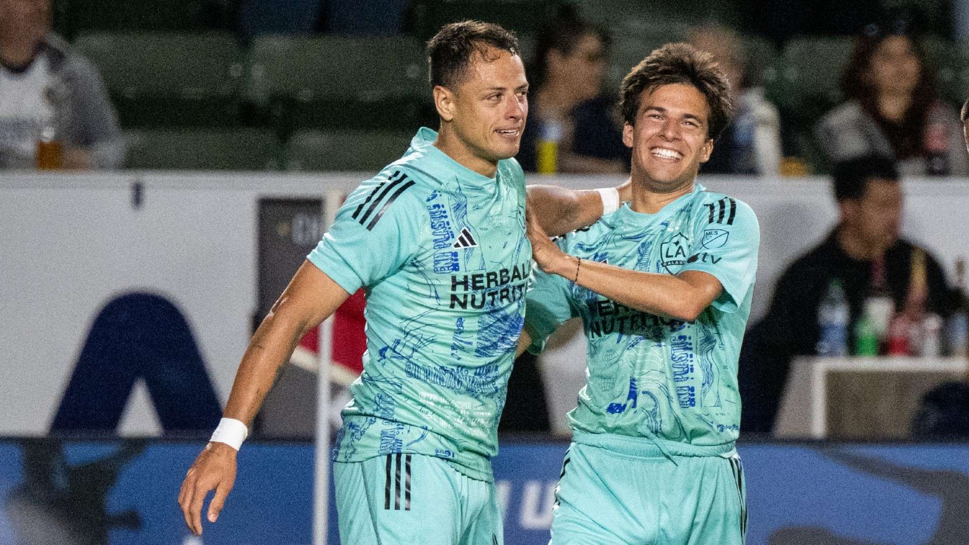 了重要作用 了重要作用